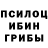 Псилоцибиновые грибы Magic Shrooms August Ryker