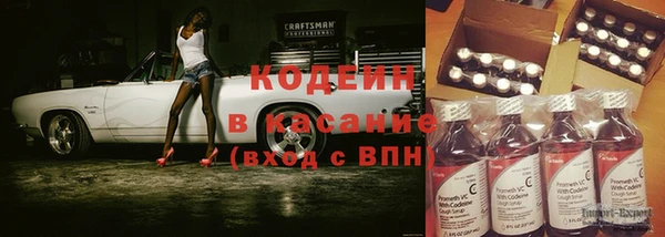 прущие грибы Белокуриха