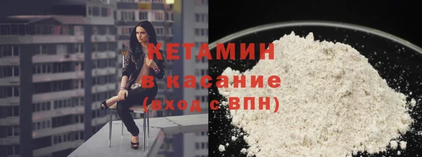 прущие грибы Белокуриха