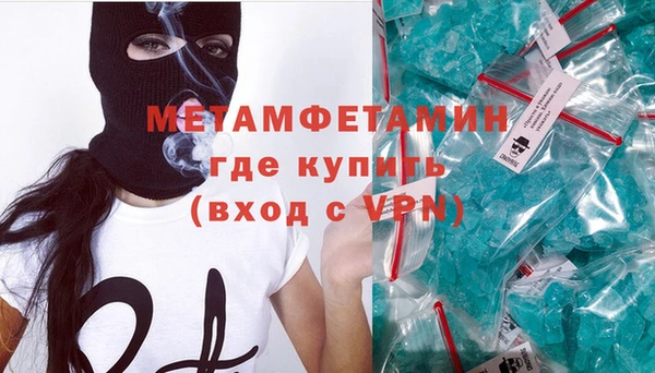 прущие грибы Белокуриха