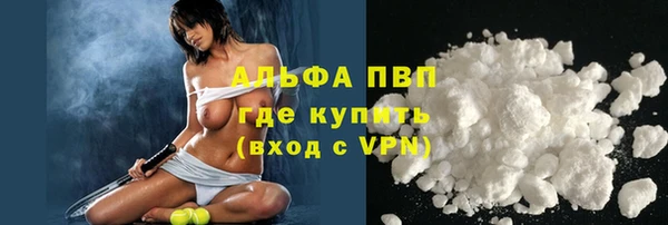 прущие грибы Белокуриха