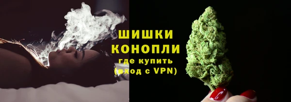 прущие грибы Белокуриха
