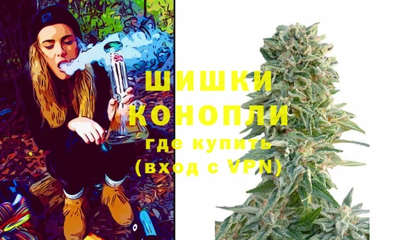 сатива Белоозёрский