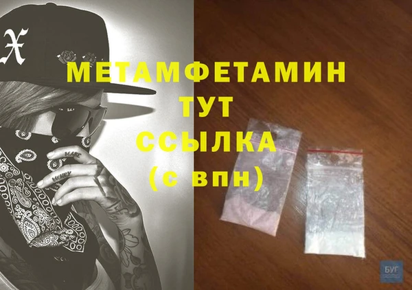 прущие грибы Белокуриха