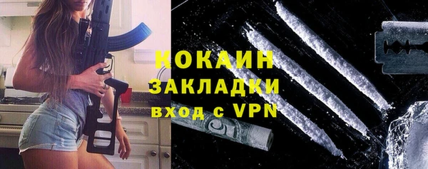 прущие грибы Белокуриха