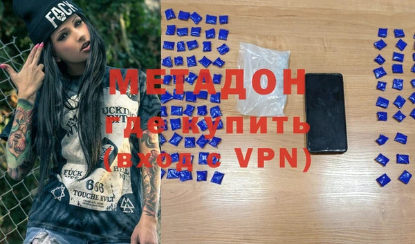 прущие грибы Белокуриха